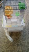 alger-bordj-el-bahri-algerie-accessoire-pour-animaux-cage-hamster