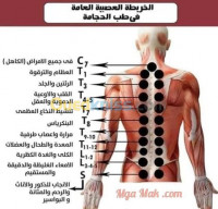 annaba-sidi-amar-algerie-médecine-santé-الأخصائيين-في-الطب-بديل-والرقية-شرعية