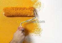 الجزائر-وسط-باب-الزوار-برج-الكيفان-دار-البيضاء-بناء-و-أشغال-peinture