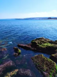 Vente Terrain Bejaia Adekar