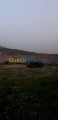 الجزائر-وسط-أرض-byaa-ard-aljzaer-ost