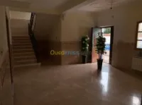 Location Immeuble Alger Dely brahim