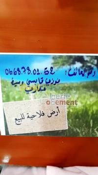 سوق-أهراس-الجزائر-أرض-byaa-ard-sok-ahras