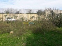 الجزائر-الخرايسية-أرض-byaa-ard-aljzaer-alkhraysy