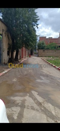 blida-ouled-selama-algeria-hangar-rent