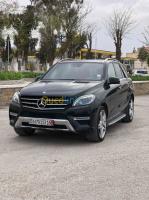 bordj-bou-arreridj-ras-el-oued-algerie-tout-terrain-suv-mercedes-benz-ml-250-cdi-pack-amg-2013