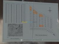 سطيف-العلمة-الجزائر-أرض-vente-terrain-setif-el-eulma
