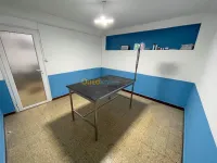 Vétérinaire 