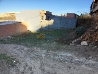 tlemcen-algeria-land-sell