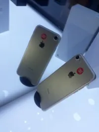 Apple 7
