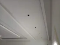 Montage placo platre