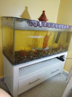 boumerdes-algerie-décoration-aménagement-aquarium-avec-meuble