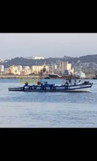 Bateau de pêche Sardinier en bois