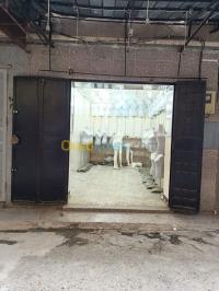 محل-بيع-تلمسان-الجزائر