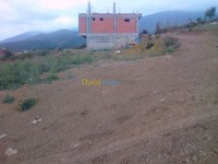البليدة-الجزائر-أرض-byaa-ard-alblyd