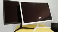 MONITEUR TWINS 22 "