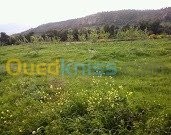 أرض-byaa-ard-tyzy-ozo-aazazk-عزازقة-تيزي-وزو-الجزائر