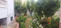 Vente Villa Boumerdes Hammedi