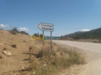 بومرداس-بودواو-الجزائر-أرض-byaa-ard-bomrdas-bodoao