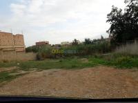 البليدة-بوينان-الجزائر-أرض-byaa-ard-alblyd-boynan