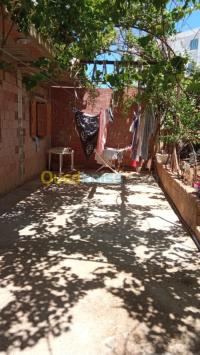الشلف-تنس-الجزائر-آخر-byaa-aakar-alshlf-tns