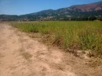 Vente Terrain Bouira Lakhdaria