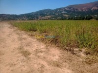 البويرة-الأخضرية-الجزائر-أرض-byaa-ard-alboyr-alakhdry