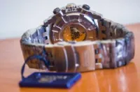 Festina Chrono bike