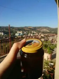 عسل الكاليتوس 