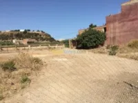 Vente Terrain Chlef Tenes