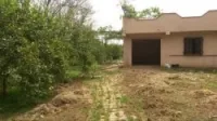 Vente Terrain Agricole Tlemcen Hennaya