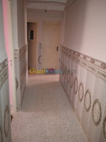 chlef-beni-haoua-algerie-appartement-location-f2