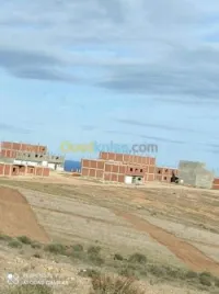 Vente Terrain Tlemcen Souk tlata