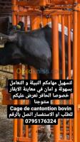 sidi-bel-abbes-algerie-materiaux-de-construction-cage-parage