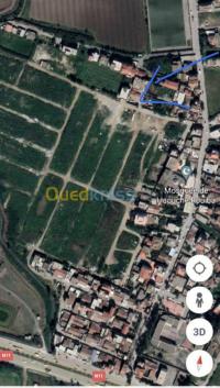 الجزائر-الرويبة-أرض-byaa-ard-aljzaer-alroyb