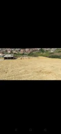 Vente Terrain Blida Bougara