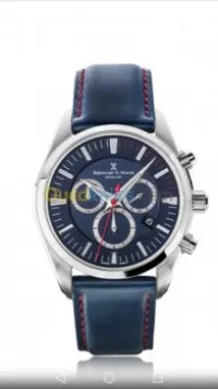 Montre de luxe 