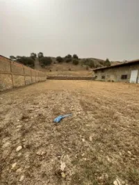 Vente Terrain Ain defla Boumedfaa