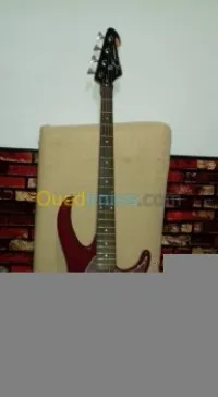 Peavey Raptor 