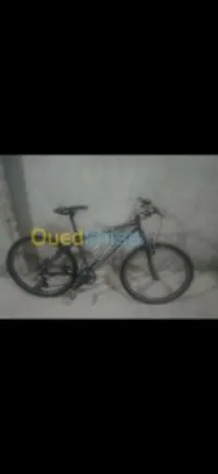 Vend velo 26 pouce Rockrider de France