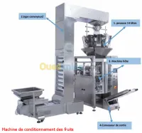 Machine de conditionnement des fruits 