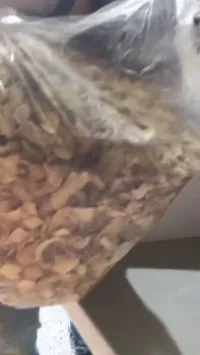 Déchiqueteuse: Concasseur en plastique