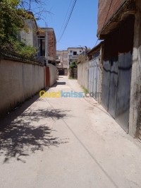الجزائر-الرغاية-أرض-byaa-ard-aljzaer-alrghay