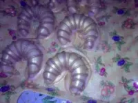 Gâteux traditionnel