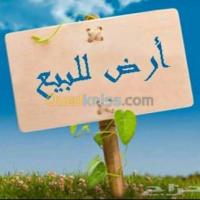 constantine-algeria-land-sell