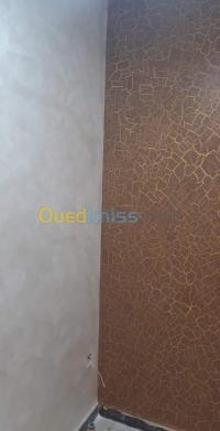 الجزائر-زرالدة-بناء-و-أشغال-دهان