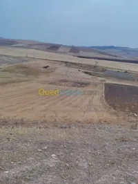 Vente Terrain Constantine El khroub