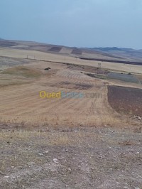 constantine-el-khroub-algeria-land-sell