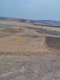Vente Terrain Constantine El khroub