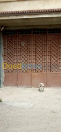 الجزائر-الكاليتوس-محل-kra-mhl-aljzaer-alkalytos